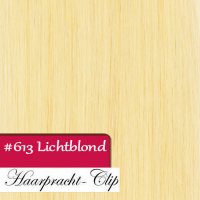 Clip in Extensions - Echthaar 160g Haarverlngerung 66cm #613