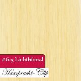 Clip in Extensions Echthaar 210g Haarverlngerung 60cm #613